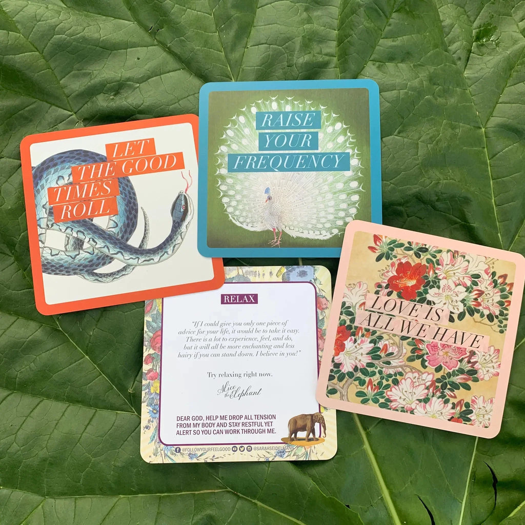 Four affirmation cards from the deck arranged on a vibrant green leaf background, featuring colorful borders in orange, blue, and pink with illustrated designs and motivational text.