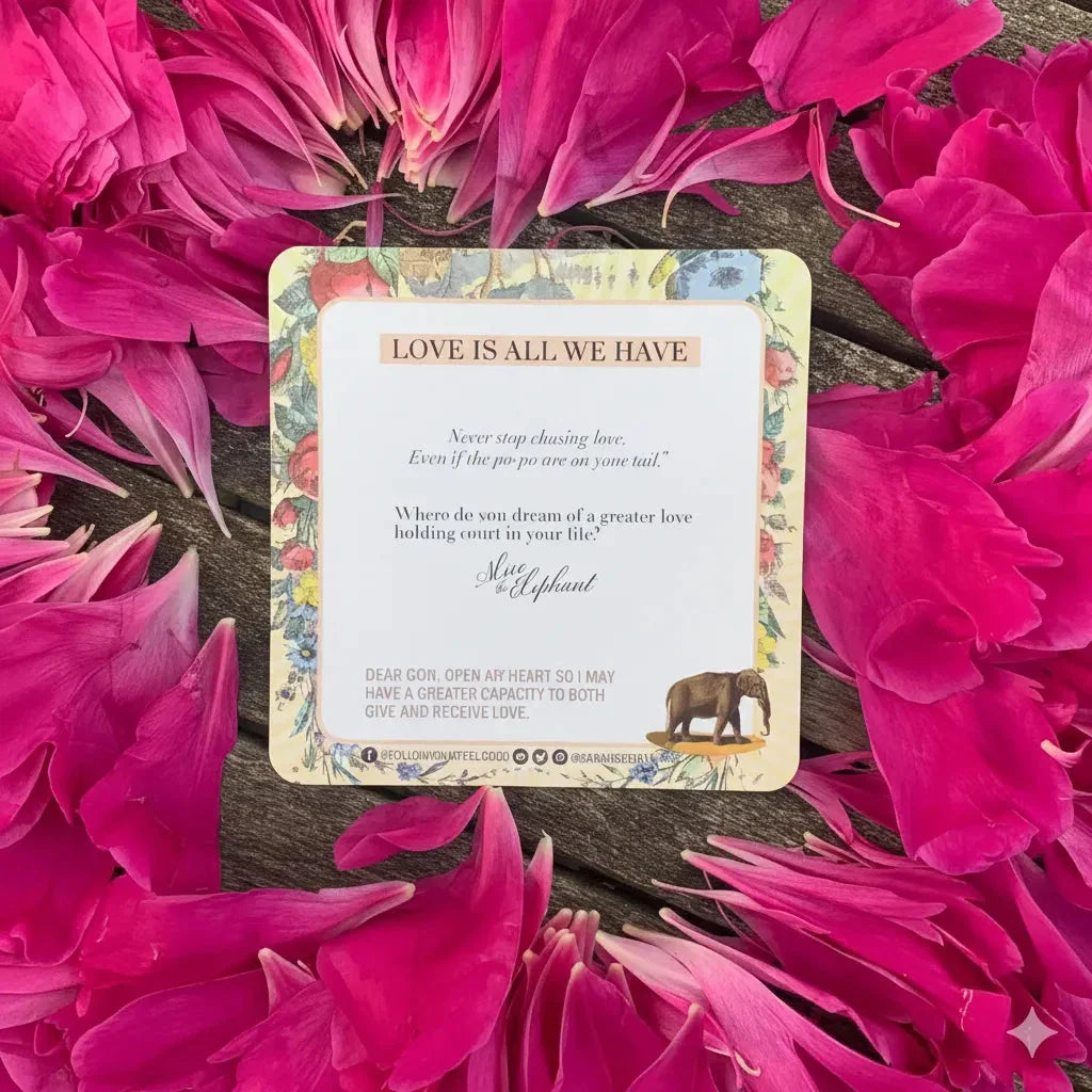 A cream-colored inspirational card reading 'Love Is All We Have' surrounded by vibrant magenta peonies on dark wood, featuring floral border design and an elephant illustration.