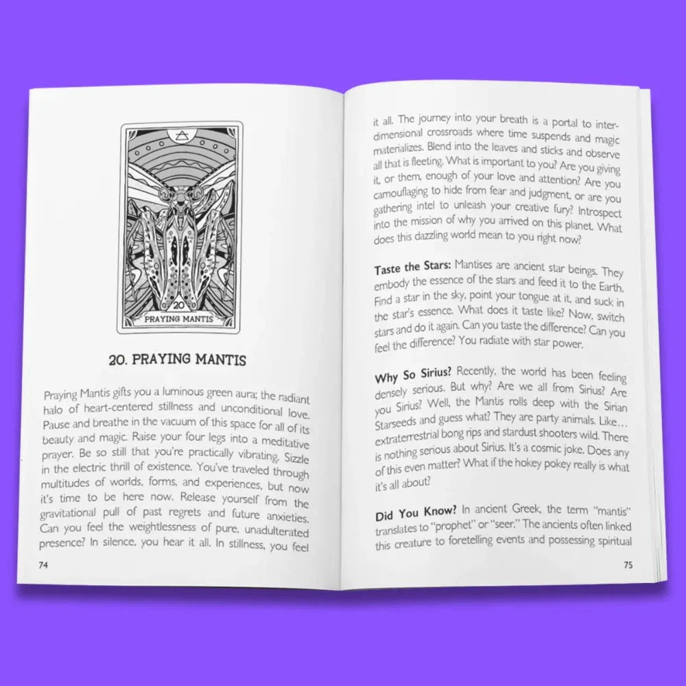 Open oracle deck book displaying card 20 Praying Mantis with intricate line art illustration on left page and instructional text on right, set against vibrant purple background.